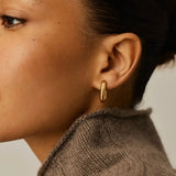 Chubby Oval Small Hoop Earrings - Gold