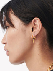 Mini Claw Charm Hoop Earrings - Gold